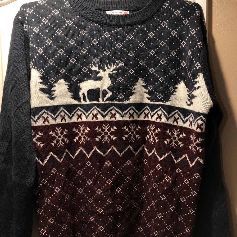 Reindeer Christmas Sweater!
